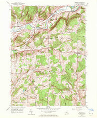 Brisben New York Historical topographic map, 1:24000 scale, 7.5 X 7.5 Minute, Year 1949