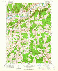 Brisben New York Historical topographic map, 1:24000 scale, 7.5 X 7.5 Minute, Year 1949