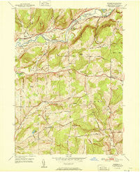 Brisben New York Historical topographic map, 1:24000 scale, 7.5 X 7.5 Minute, Year 1951