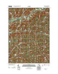 Brisben New York Historical topographic map, 1:24000 scale, 7.5 X 7.5 Minute, Year 2013