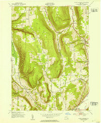 Bristol Springs New York Historical topographic map, 1:24000 scale, 7.5 X 7.5 Minute, Year 1943