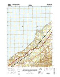 Brocton New York Current topographic map, 1:24000 scale, 7.5 X 7.5 Minute, Year 2016