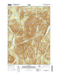 Bullhead Mountain New York Current topographic map, 1:24000 scale, 7.5 X 7.5 Minute, Year 2016