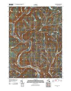 Callicoon New York Historical topographic map, 1:24000 scale, 7.5 X 7.5 Minute, Year 2010