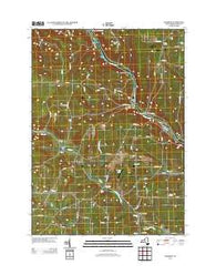 Cameron New York Historical topographic map, 1:24000 scale, 7.5 X 7.5 Minute, Year 2013