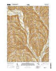 Candor New York Current topographic map, 1:24000 scale, 7.5 X 7.5 Minute, Year 2016