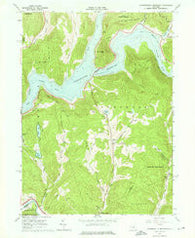 Cannonsville Reservoir New York Historical topographic map, 1:24000 scale, 7.5 X 7.5 Minute, Year 1965