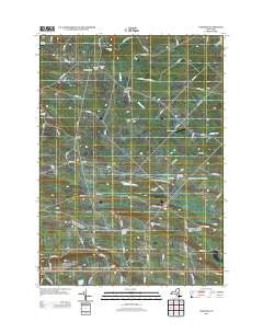 Carlisle New York Historical topographic map, 1:24000 scale, 7.5 X 7.5 Minute, Year 2013
