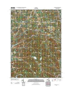 Cassville New York Historical topographic map, 1:24000 scale, 7.5 X 7.5 Minute, Year 2013