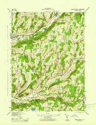 Charlotteville New York Historical topographic map, 1:31680 scale, 7.5 X 7.5 Minute, Year 1945