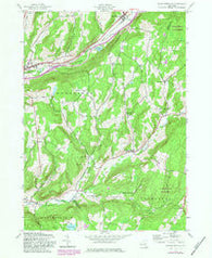 Charlotteville New York Historical topographic map, 1:24000 scale, 7.5 X 7.5 Minute, Year 1943