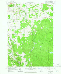 Chasm Falls New York Historical topographic map, 1:24000 scale, 7.5 X 7.5 Minute, Year 1964