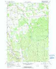 Chasm Falls New York Historical topographic map, 1:24000 scale, 7.5 X 7.5 Minute, Year 1964