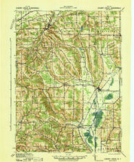 Cherry Creek New York Historical topographic map, 1:62500 scale, 15 X 15 Minute, Year 1941