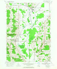 Cherry Creek New York Historical topographic map, 1:24000 scale, 7.5 X 7.5 Minute, Year 1954