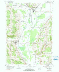 Cherry Creek New York Historical topographic map, 1:24000 scale, 7.5 X 7.5 Minute, Year 1954