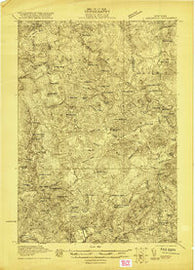 Childwold New York Historical topographic map, 1:48000 scale, 15 X 15 Minute, Year 1921