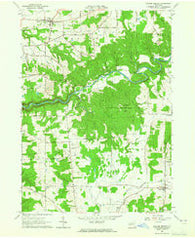 Collins Center New York Historical topographic map, 1:24000 scale, 7.5 X 7.5 Minute, Year 1963