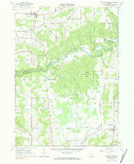 Collins Center New York Historical topographic map, 1:24000 scale, 7.5 X 7.5 Minute, Year 1963