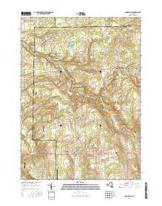 Cowlesville New York Current topographic map, 1:24000 scale, 7.5 X 7.5 Minute, Year 2016