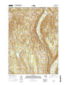 Dale New York Current topographic map, 1:24000 scale, 7.5 X 7.5 Minute, Year 2016