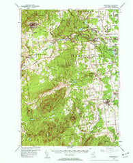 Dannemora New York Historical topographic map, 1:62500 scale, 15 X 15 Minute, Year 1956
