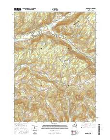 Davenport New York Current topographic map, 1:24000 scale, 7.5 X 7.5 Minute, Year 2016