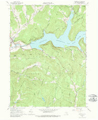 Downsville New York Historical topographic map, 1:24000 scale, 7.5 X 7.5 Minute, Year 1965