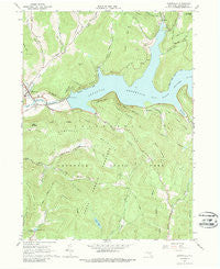 Downsville New York Historical topographic map, 1:24000 scale, 7.5 X 7.5 Minute, Year 1965