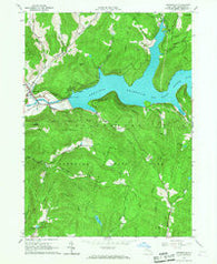 Downsville New York Historical topographic map, 1:24000 scale, 7.5 X 7.5 Minute, Year 1965