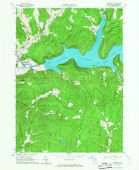 Downsville New York Historical topographic map, 1:24000 scale, 7.5 X 7.5 Minute, Year 1965