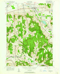 Dryden New York Historical topographic map, 1:24000 scale, 7.5 X 7.5 Minute, Year 1949