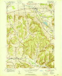 Dryden New York Historical topographic map, 1:24000 scale, 7.5 X 7.5 Minute, Year 1951