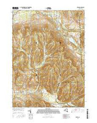 Dryden New York Current topographic map, 1:24000 scale, 7.5 X 7.5 Minute, Year 2016