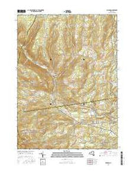 Durham New York Current topographic map, 1:24000 scale, 7.5 X 7.5 Minute, Year 2016