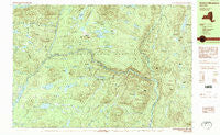 Dutton Mountain New York Historical topographic map, 1:25000 scale, 7.5 X 15 Minute, Year 1989