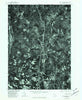 East Greenbush New York Historical topographic map, 1:24000 scale, 7.5 X 7.5 Minute, Year 1978