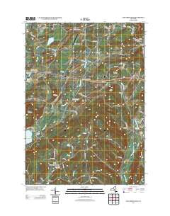 East Springfield New York Historical topographic map, 1:24000 scale, 7.5 X 7.5 Minute, Year 2013