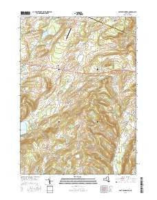 East Springfield New York Current topographic map, 1:24000 scale, 7.5 X 7.5 Minute, Year 2016