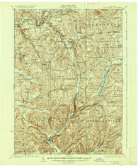 Ellicottville New York Historical topographic map, 1:62500 scale, 15 X 15 Minute, Year 1924