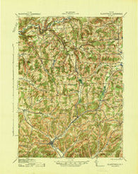 Ellicottville New York Historical topographic map, 1:62500 scale, 15 X 15 Minute, Year 1941