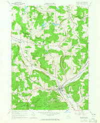 Ellicottville New York Historical topographic map, 1:24000 scale, 7.5 X 7.5 Minute, Year 1964