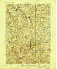 Ellicottville New York Historical topographic map, 1:62500 scale, 15 X 15 Minute, Year 1924