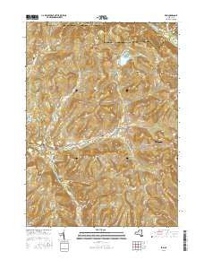 Erin New York Current topographic map, 1:24000 scale, 7.5 X 7.5 Minute, Year 2016