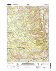 Esperance New York Current topographic map, 1:24000 scale, 7.5 X 7.5 Minute, Year 2016