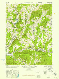 Fleischmanns New York Historical topographic map, 1:24000 scale, 7.5 X 7.5 Minute, Year 1945