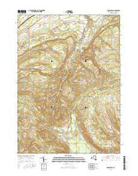 Forestville New York Current topographic map, 1:24000 scale, 7.5 X 7.5 Minute, Year 2016