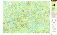Forked Lake New York Historical topographic map, 1:25000 scale, 7.5 X 15 Minute, Year 1997
