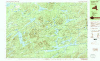 Forked Lake New York Historical topographic map, 1:25000 scale, 7.5 X 15 Minute, Year 1989