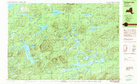 Forked Lake New York Historical topographic map, 1:25000 scale, 7.5 X 15 Minute, Year 1989